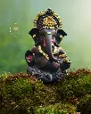 chocolate-brown-titwala-ganpati47.webp